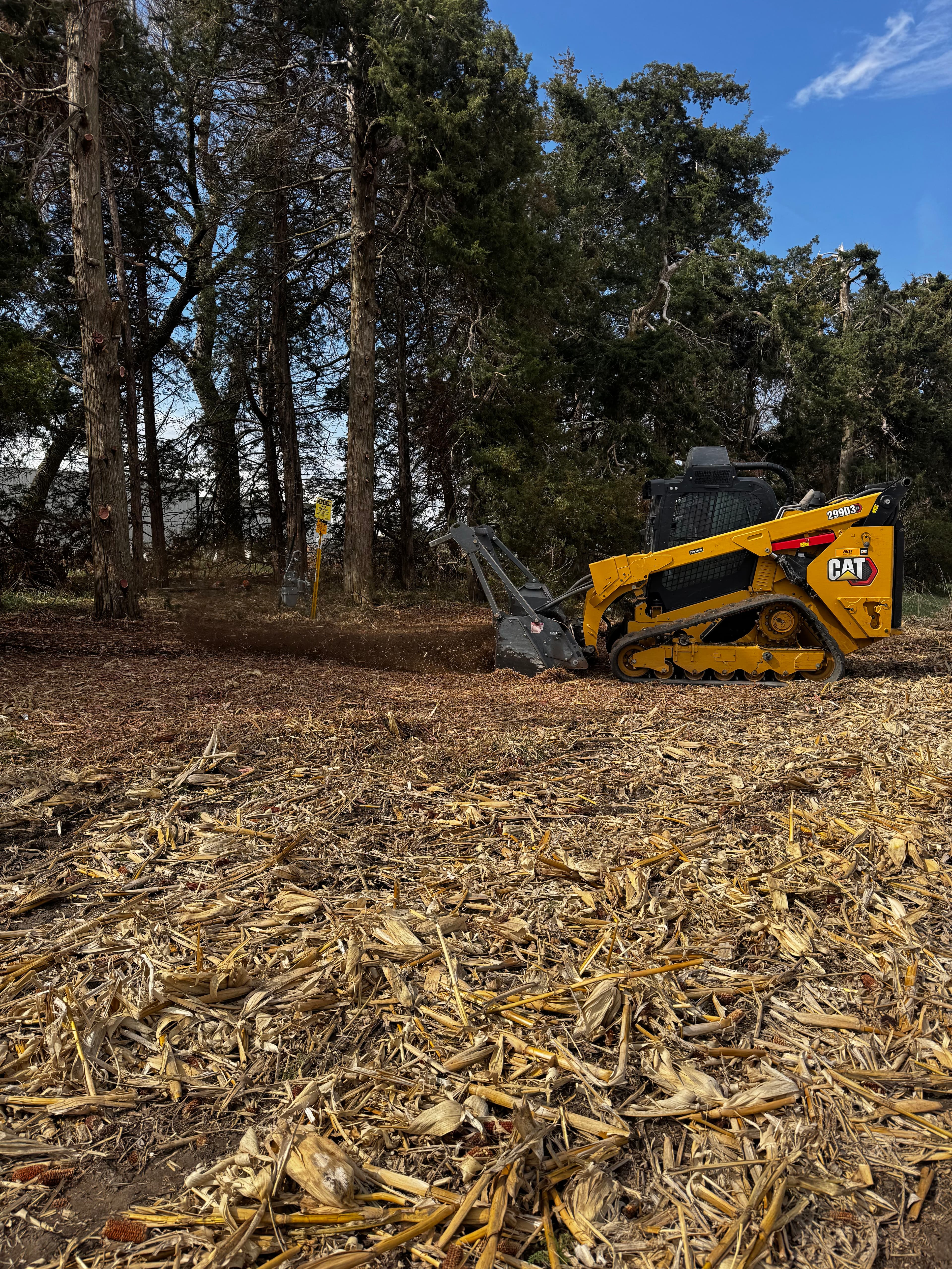 Project Clearing Overgrown Land Back to Clean, Usable Ground image